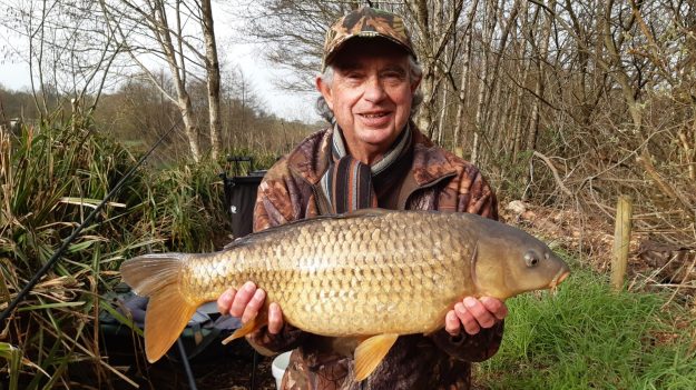 Common Carp Fishing in Devon